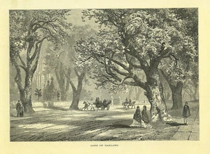 " OAKS of OAKLAND " California by Thomas Moran 1874 original antik - Bild 1 von 1