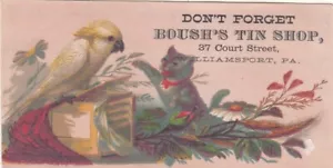 Bousch's Tin Shop Williamsport PA Cat and Canary Cage Flowers Vict Card c1880s - Picture 1 of 2