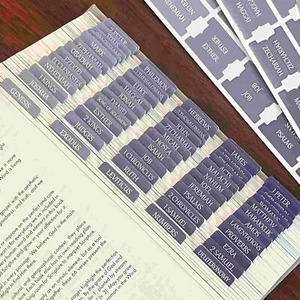 Thinkor Reposition Laminated Bible Tabs, Large Print Stickers, Easy to Read and - Picture 1 of 6