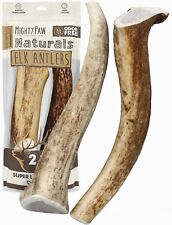 Mighty Paw Elk Antlers for Dogs - Medium Size 6" Chew - Ideal Dog Bone for Aggre