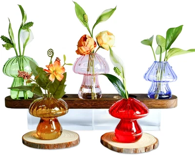 Jarrón de setas, jarrones para estaciones de propagación de setas, juego de 5 jarrones de vidrio de colores, Foto 1 de 4