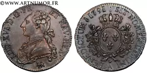 Louis XVI - 1/2 Ecu aux branches d'olivier, 1791 A Paris - Foto 1 di 1