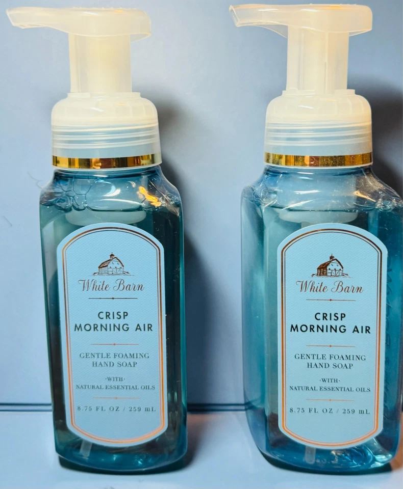 NUEVO ~ AIRE FRESCO DE LA MAÑANA - 2X JABÓN ESPUMOSO - Baño y Cuerpo Funciona - ENVÍO GRATUITO Foto 1 de 1