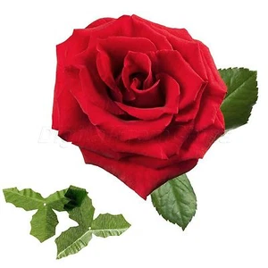 50 piezas Hojas de flores artificiales de seda Ramo Guirnalda Corona Gorra Jardín Hágalo usted mismo Artesanía - Imagen 1 de 11