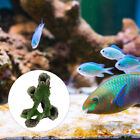  Fish Tank Accessories Ornaments Aquarium Cave Decoration Decorations