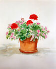 GERANIUMS IN PLANTER ART PRINT from Watercolor Painting by P. Tarlow
