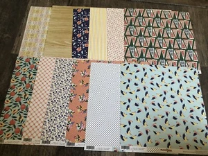 Lot Of 12 Fancy Pants Peachy Keen 12”x12” Scrapbooking Papers. Double sided - Picture 1 of 4