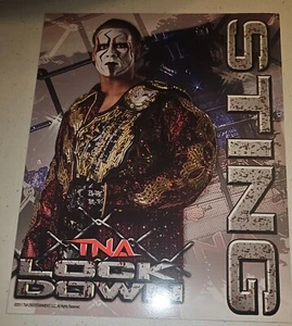 Foto promocional impacto TNA Wrestling Sting WWE WWF AEW NWA WCW - Imagen 1 de 1