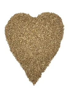 Executive Deals All Organic Hard Red Wheat Berries, Non-GMO & USDA Certified - 5 - Picture 1 of 6