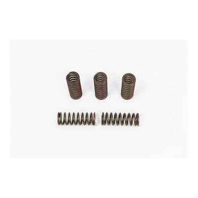 Pro Circuit Set Di Molle Frizione SPRNGS CLTCH CRF250R/X'20 Foto 1 de 4