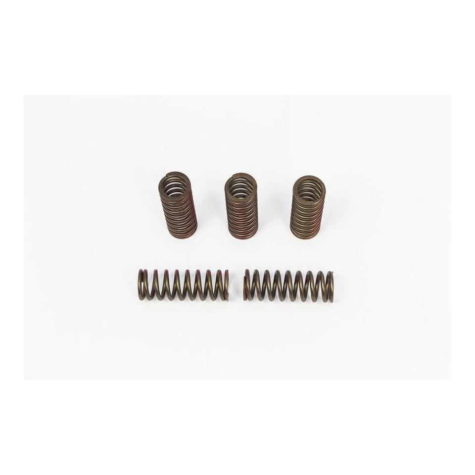 Juego de muelles de embrague Pro Circuit SPRNGS CLTCH CRF250R/X'20 Foto 1 de 4