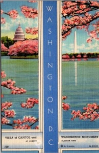 Vista of Capitol and Washington Monument at Cherry Blossom Time Vintage Postcard - Picture 1 of 2