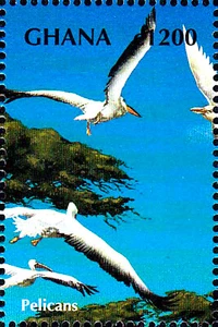 MNH postfrisch Tier Vogel Wildtier Pelikan Seevogel Wasservogel Tierwelt / 58 - Picture 1 of 1