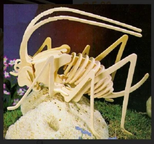 Set 5 Pezzi Modellismo 3D Insetti Legno - Foto 1 di 5