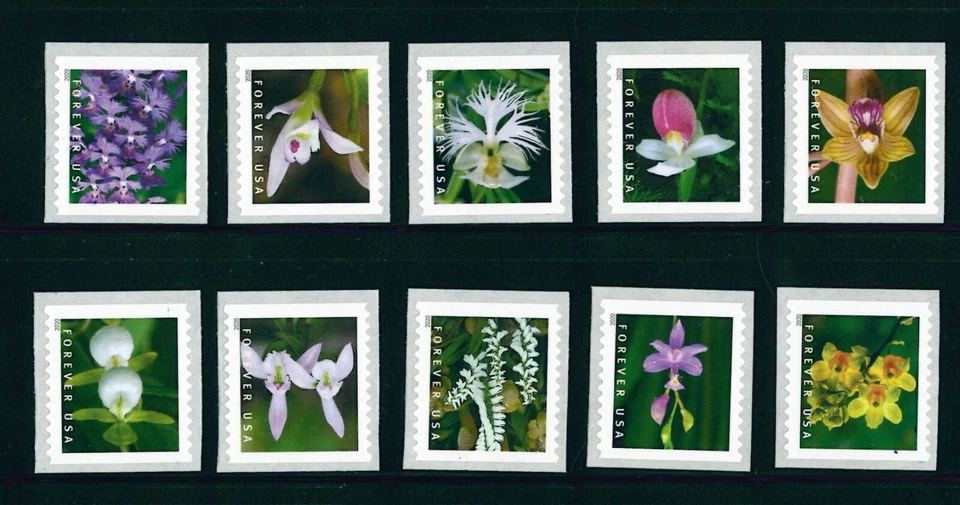 US Scott # 5435 - 5444 Beautiful Wild Orchids / Set of 10 Coil Singles          - Image 1 of 1