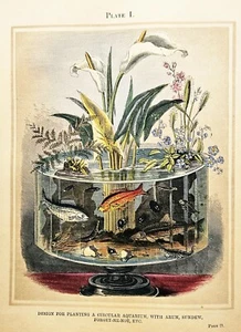 Henry Noel Humphreys RIVER GARDENS 1857 Hand-colored - Picture 1 of 7