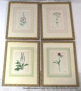 4-PC VINTAGE FRAMED FLORAL PRINTS Waldflee Weidenroschen Taufendguildenfraut + - Picture 1 of 6