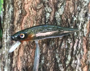 SPEEDBAITS Custom Airbrush TA 110 Jerkbait SUSPEND - Bild 1 von 8