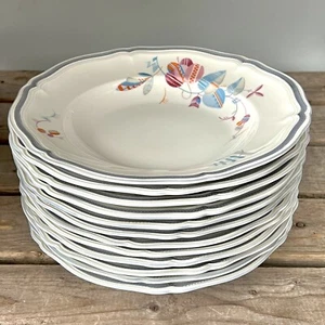 XL SET 12 VTG ROSENTHAL Soup Bowls ABSTRACT FLORAL PINK & BLUE Chippendale R698 - Picture 1 of 12