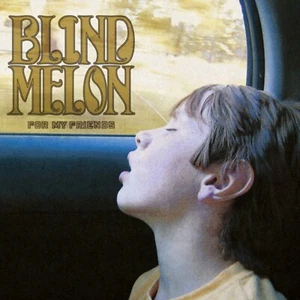 BLINDE MELONE für meine Freunde BANNER 3x3 Fuß Stoff Poster Wandteppich Flagge Album Kunst - Bild 1 von 3