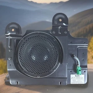 2011-14 Ford F150 Raptor OEM Speaker Sony BL3T-19A067-CA 700W Rear Subwoofer - Picture 1 of 9