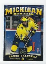 2008-09 Michigan Wolverines Aaron Palushaj 