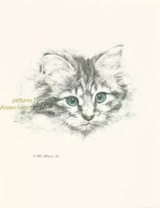 # 111 LONG HAIR TABBY KITTEN * cat art print * pen & ink drawing by Jan Jellins - Picture 1 of 1