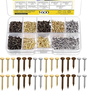 1600 Teile 3 Größen kleine kleine Nägel Sortiment Set, 1 x 6 mm, 1 x 8 mm 1 x 10 mm kleines Holz - Bild 1 von 12