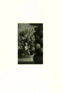 JUDITH ROTHCHILD b1950 Villa Sciarra - Picture 1 of 1