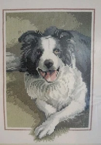 Border Collie Counted Cross-stitch Kit Heritage Stitchcraft John Stubbs Unused - Picture 1 of 7