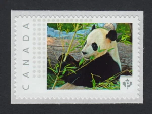 lq. GIANT PANDA = Picture Postage-TM stamp Canada 2015 [p15/9pa2/2] MNH - Picture 1 of 2