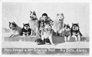 Postcard ~ Big Delta Alaska, Mary Hansen & Her Siberian Dog Team - 1940s - Picture 1 of 2