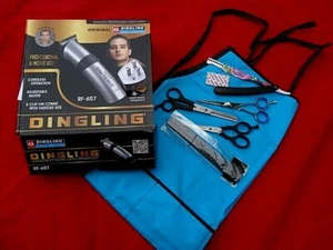 DINGLING RF-607 Rechargeable Electric Hair & Beard Trimmer Clipper+Hair Scissors - Picture 1 of 12