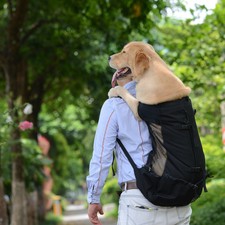 dog carrier backpack for big dogs