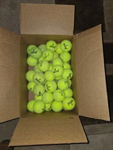 40 USED Penn tennis balls in good condition. - Picture 1 of 2