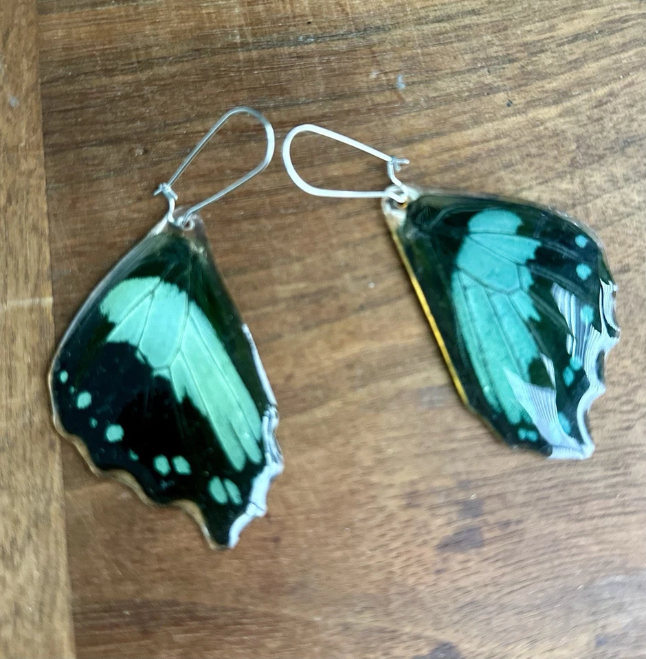 Brincos de asa de borboleta artesanais asas de borboleta reais joia presente - Imagem 1 de 4