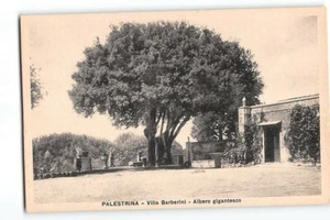 12564 02 ROMA PALESTRINA VILLA BARBERINI - Picture 1 of 2