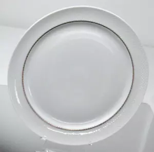 Rosenthal Continental Century White Platinum Silver Band Dinner Plate - Picture 1 of 6
