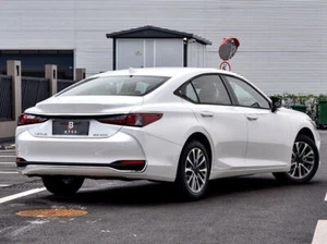 12PCS For 2021-2024 LEXUS ES300h 350 250 Black  Car Window Molding Strip Trim A - Foto 1 di 5