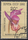 Russland Sowjetunion Gestempelt Norne Orchidee Blume Pflanze Pflanzenwelt / 66