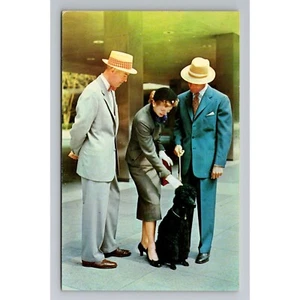 Vintage 1950s Postcard Of People & Dog In Business Attire blank back MCM fashion - Picture 1 of 2