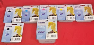 EPSON T0481 +++ MORE ! C13T04844010 INK CARTRIDGE BUNDLE OF 9 GENUINE INKS - Picture 1 of 15