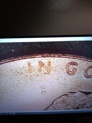 2025 P Lincoln Penny Error Struck Thru Grease OBV No I Lot Of (6) Lettering OBW - Image 1 of 4