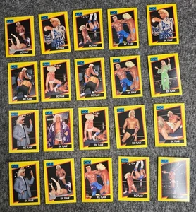 WCW 1991 Ric Flair Trading Card Set Licensed By Turner - Picture 1 of 7