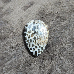 Natürliche schwarze fossile Koralle Cabochon Tropfenform Edelsteine Edelstein für Schmuck - Bild 1 von 5