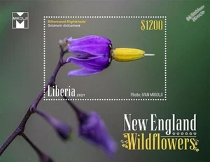 NEW ENGLAND WILDFLOWERS / Wild Flowers MNH 1v-Stamp Sheet #14 (2021 Liberia) - Picture 1 of 1