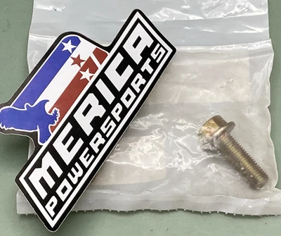 QTY 2 NEW GENUINE ARCTIC CAT 8409-030 CAP SCREW - Изображение 1 из 2