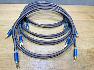 Coppia cavi altoparlanti Tara Labs RSC Air2 10 piedi (super puliti) - Foto 1 di 9