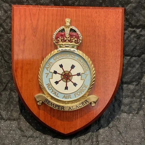 Seltene/Vintage Royal Air Force 7 STAFFEL Mess Wandrelief/Schild - handbemalt - Bild 1 von 9