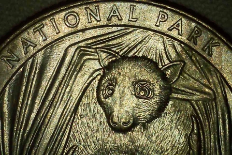 2020 P Quarter Double Die Reverse Multiple Error American Samoa Bat Nat Park Cover